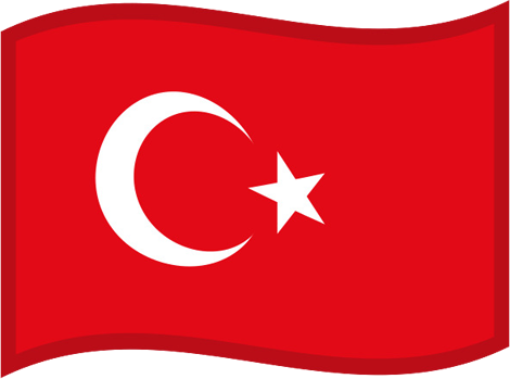 More than translation, It’s connection